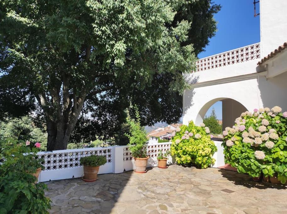 Вилла Casa Pomar - Preciosa Casa Con Piscina Y Vistas A La Sierra Грасалема Экстерьер фото