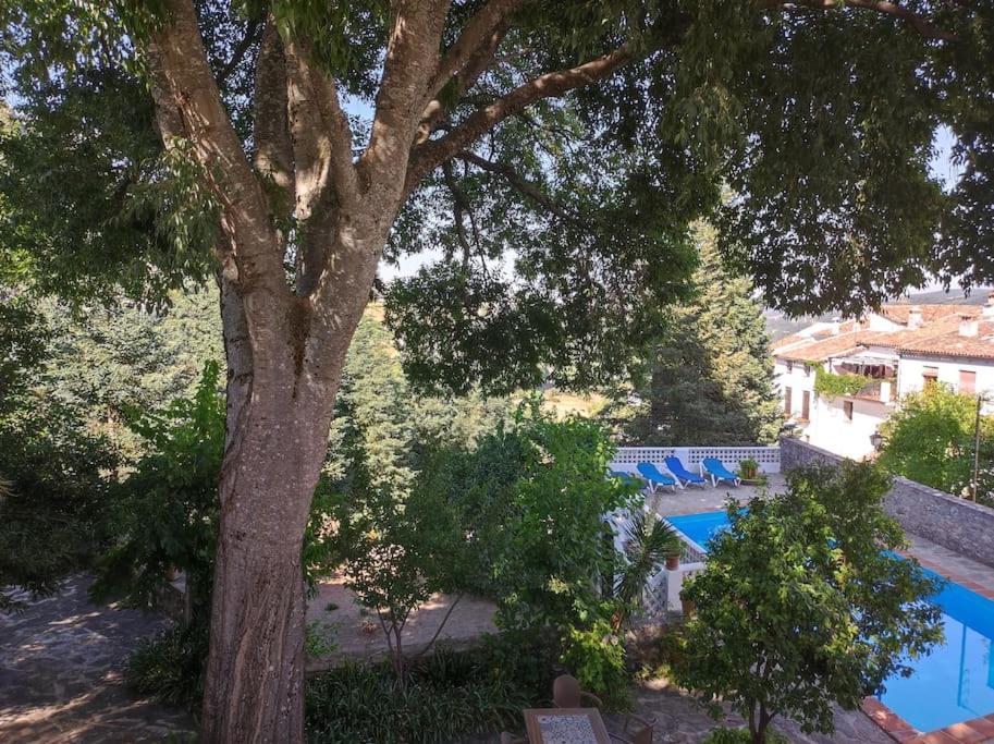 Вилла Casa Pomar - Preciosa Casa Con Piscina Y Vistas A La Sierra Грасалема Экстерьер фото